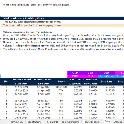 EXCEL Guide: FX Forwards, Carry and Options